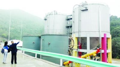 殘湯剩菜變廢為寶 從廚余垃圾到有機肥、沼氣與化工原料的綠色循環